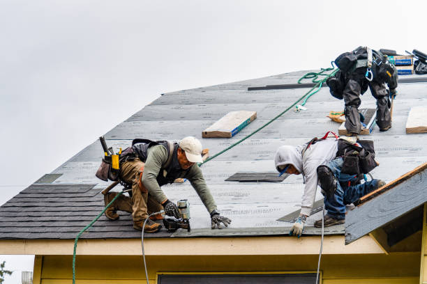 Professional Storm Damage Roof Repair technician working in Newton, NJ